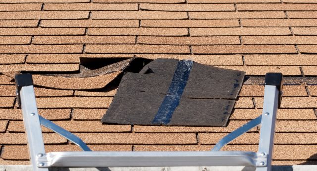 Is Your Roof Streaking?